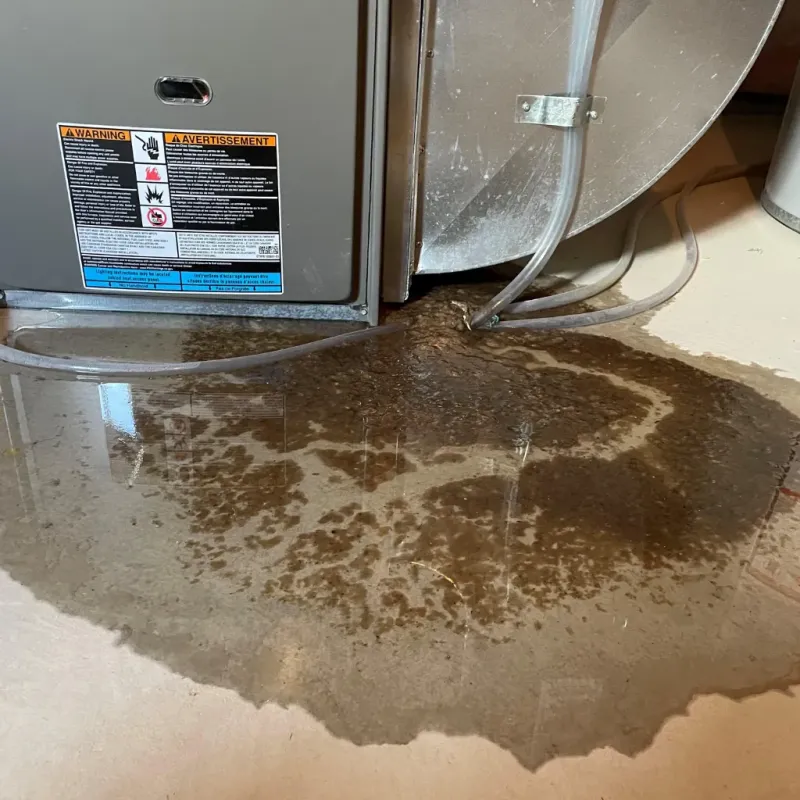 Appliance Leak Cleanup in Lake City, AR
