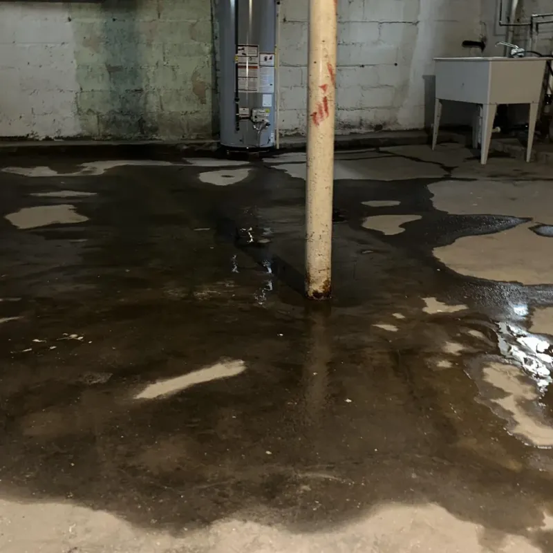 Emergency Water Extraction And Removal in Lake City, AR